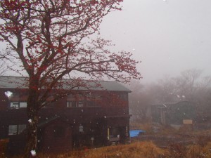 小屋とまゆみさんと雪